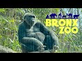 Easter Sunday at The Bronx Zoo 2021