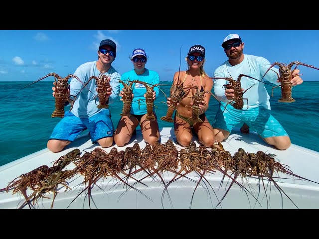 FLORIDA KEYS LOBSTER! Catch Clean Cook - Mini Season July 2020