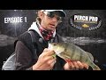 Perch pro 2016  pisode 1  kanalgratisse avec soustitres franais