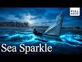 Sea Sparkle | Full Mystery Drama Movie