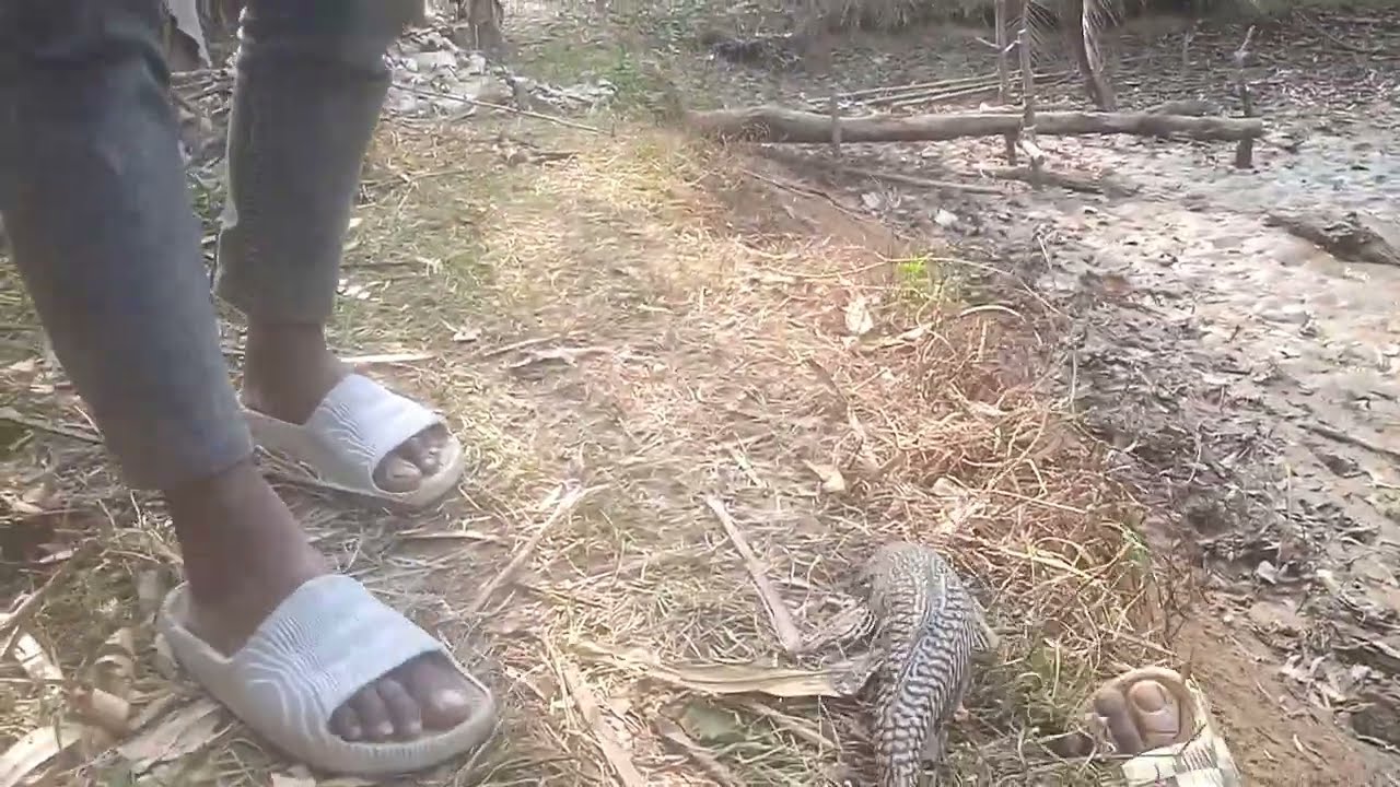 Muddy Water Best Fishing Techniques in Pond||Traditional Village Fishing Videos 2024||Fishing Lover