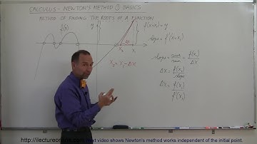 Calculus  Newton