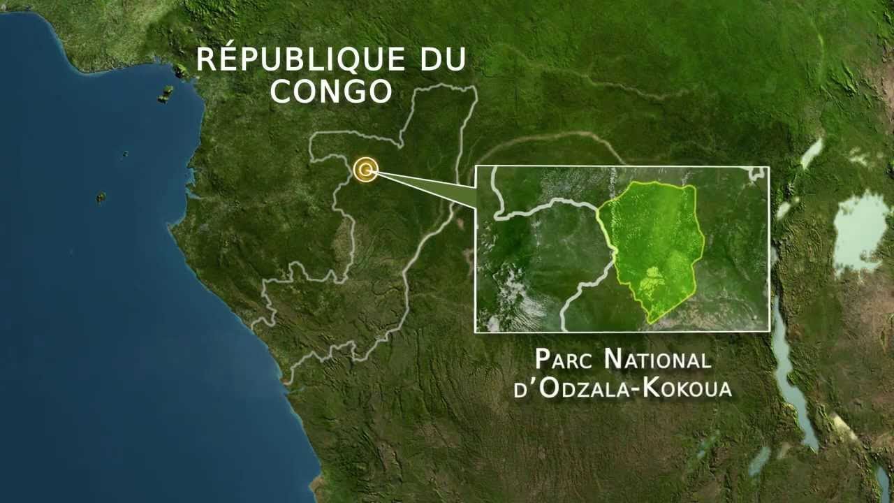 CONGOBRAZZAVILLE PARC NATIONAL D' ODZALAKOKOUA DANS LA CUVETTEOUEST AU NORD DU PAYS. YouTube