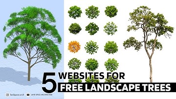 Top 5 Sites for Free Tree Assets in Landscape Design