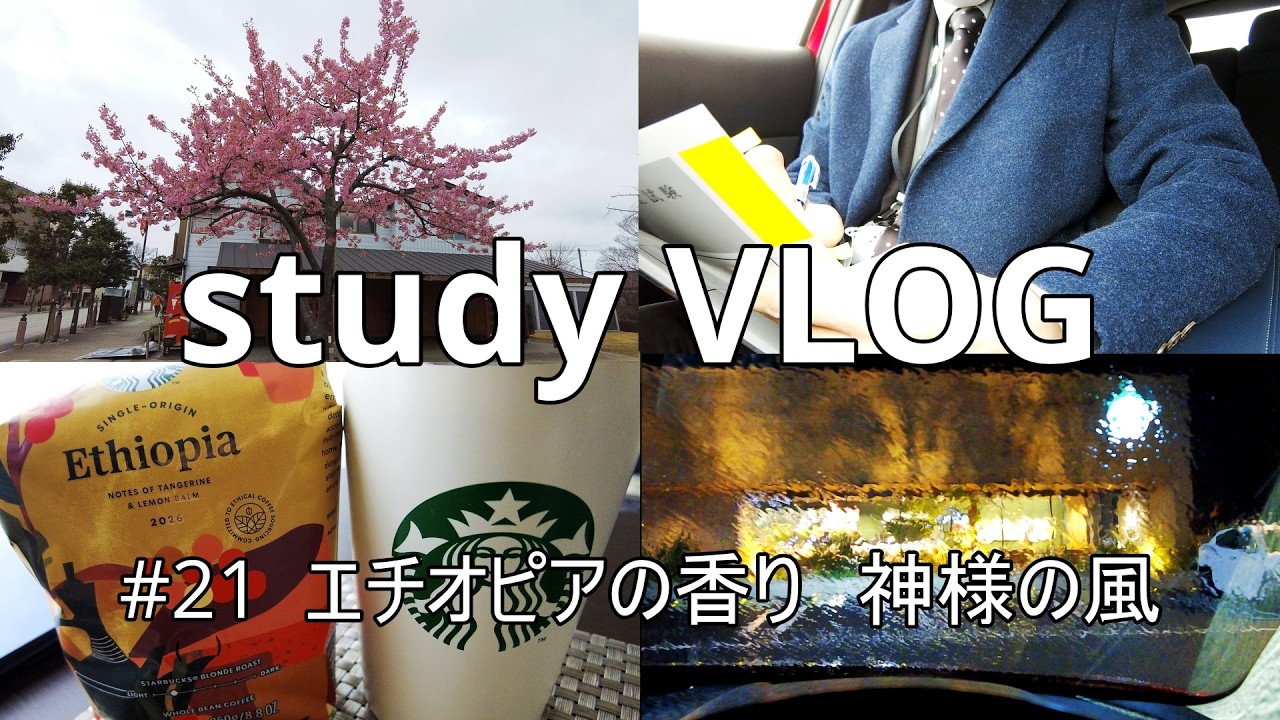 【勉強VLOG】#21 社会人｜社労士試験｜平日5日間の記録