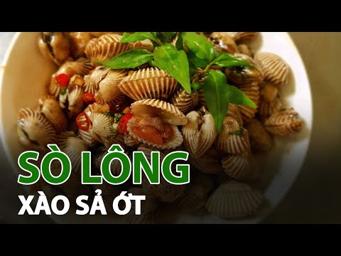 Sò lông xào sả ớt – món ngon giàu dinh dưỡng | VTC14