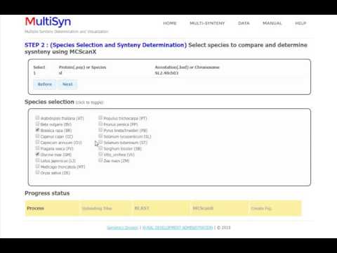 (MANUAL) MultiSyn step2