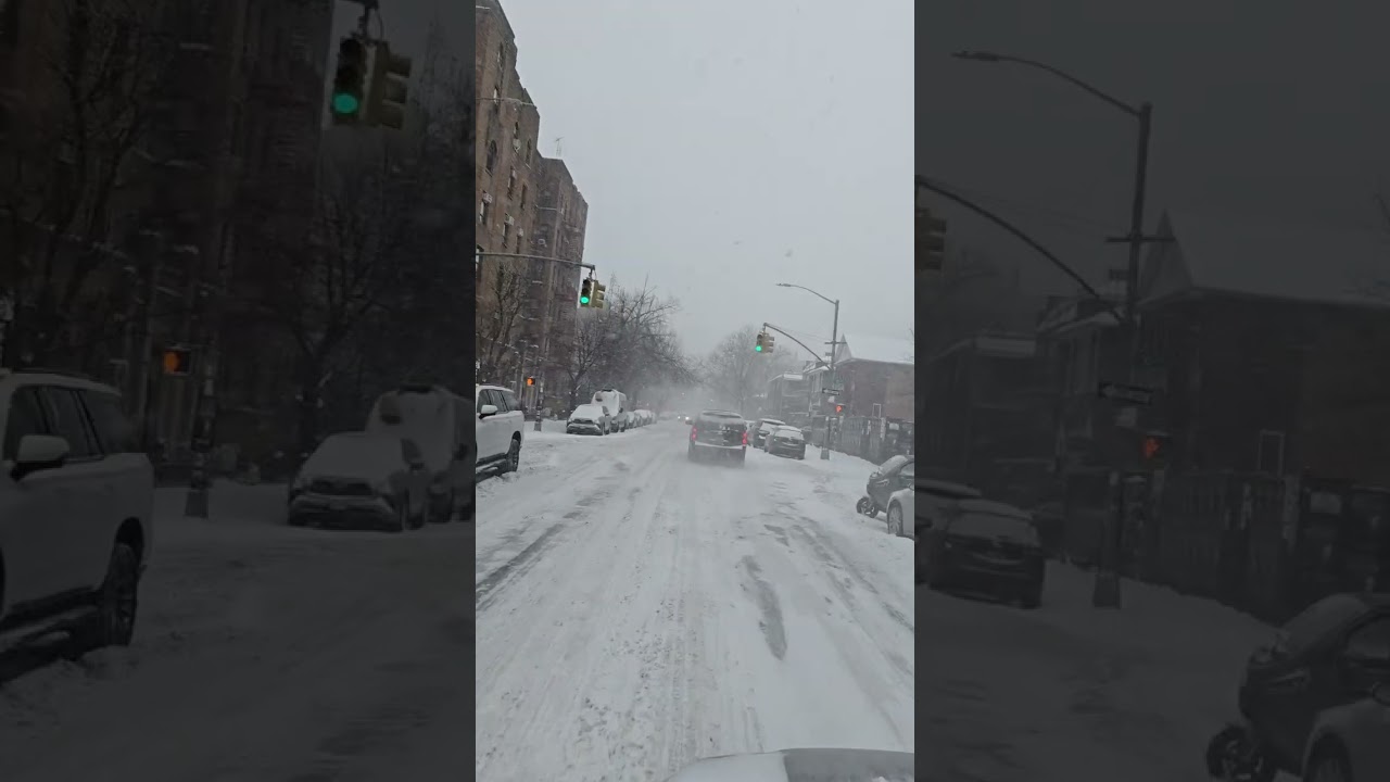 Snow Blankets Boro Park's 15th Ave. Sunday January 25 2026
