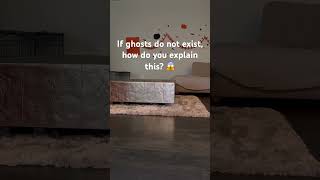 If ghosts do not exist, how do you explain this phenomenon? #shortsfeed #shorts #halloween #dog