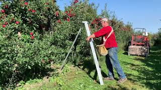 Apple Picking with Farmer Dave