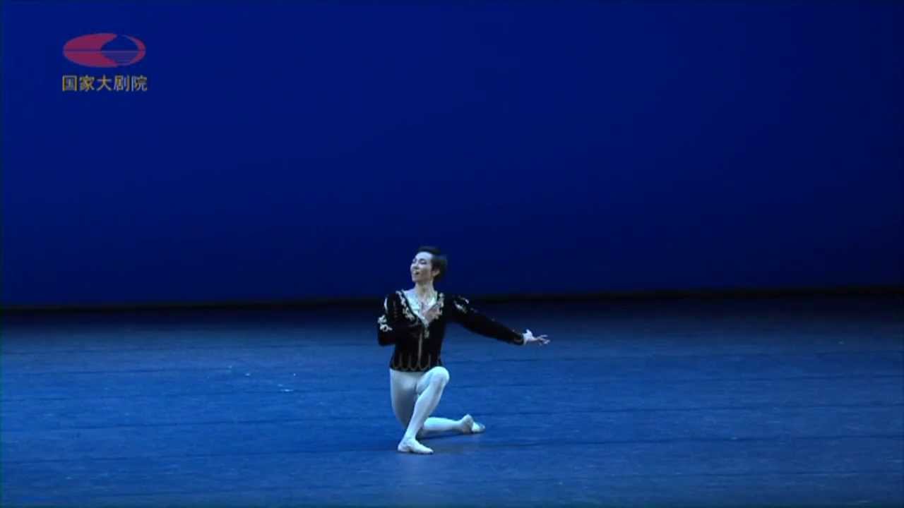 Yoshiaki Nakano Swan Lake 3rd act male Variation