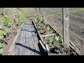 Обзор. Полив сада.