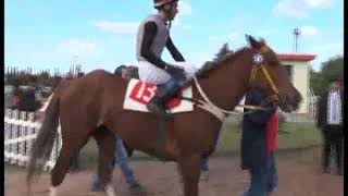 2º Carrera 1100 mts (Hipódromo Córdoba) Ganadora Island de Qualize