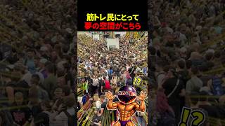 アーノルドクラシックは筋トレ界のハロウィン【世界の筋肉】