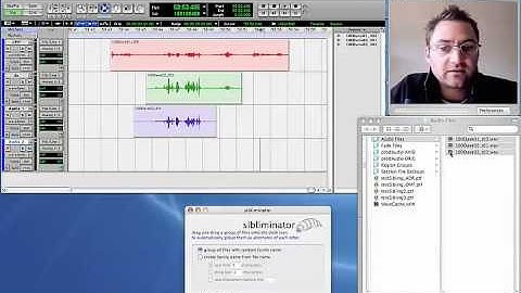 sibliminator demo - linking ADR takes