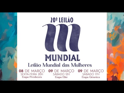 Lote 145 (Cyelo da Mundial - MUN 4753)