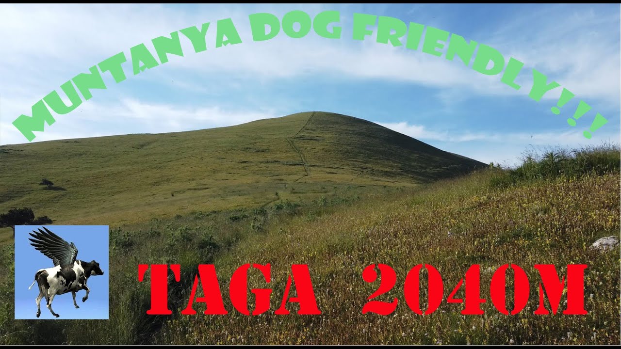 TAGA des de RIBES de FRESER 4k