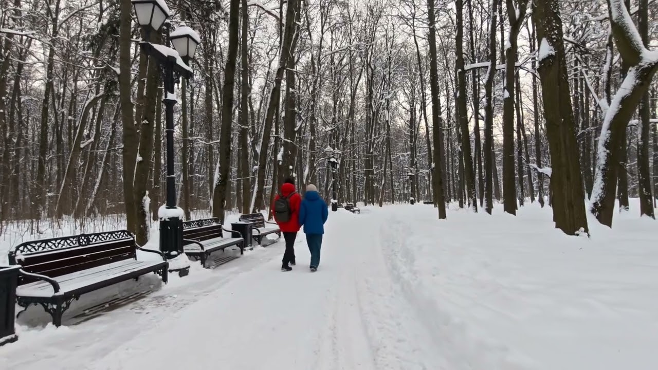 Никогда ни о чем не жалейте... Андрей Дементьев. 
