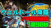 パズドラ ウェルドール 絶地獄級 3体同時スキル上げ編成 周回 ミラボレアス 元パズバト全国１位ノッチャが老眼に負けず頑張る動画 Vol 171 Youtube