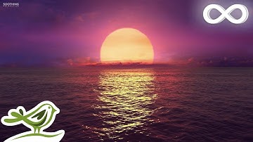 8 Hours of Relaxing Sleep Music: Ocean Waves, Relaxing Music, Sleeping Music, Calming Music ★146