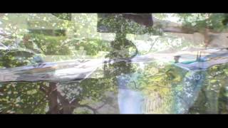 Justin Ward   Steve   Final MPEG 2 Program stream, 15 Mbps