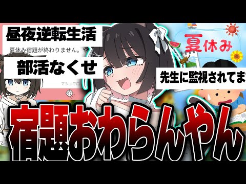 【共感の嵐】夏休みあるある募集したらわかりみがすごかったｗｗ【猫×ししゃも】