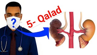 Jooji 5- Taan Qalad Ee Kiliyaha Dhaawaca Inta Ee Ku Fariiisan Kiliyaha