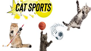 Cat Sports (by Synthify) IOS Gameplay Video (HD) screenshot 3