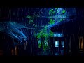 Rainy Village Night Ambience 🌧️ Frogs Croaking and Crickets Chirping for Anxiety Relief