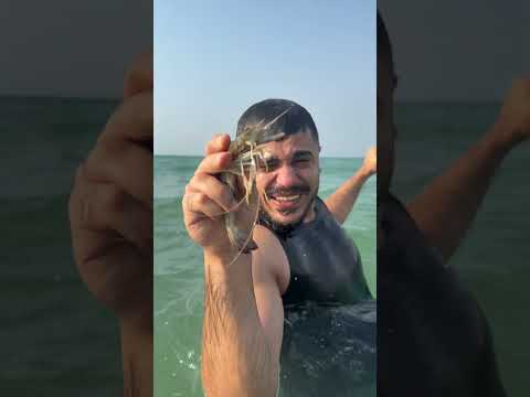 اغبى صياد اكسبلور هتضحك ضحك تحشي  كوميديات دويتو محركات  تحشيش