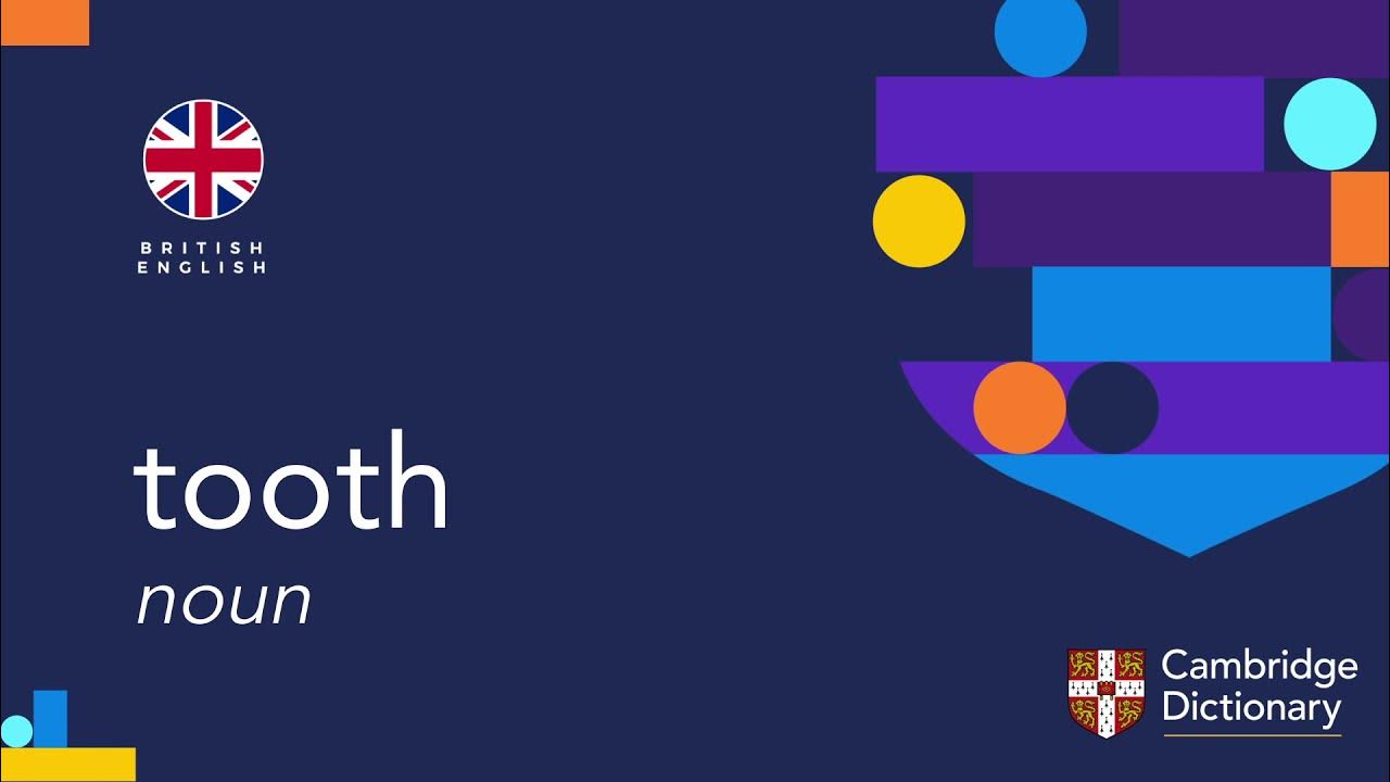 How to pronounce tooth British English and American English