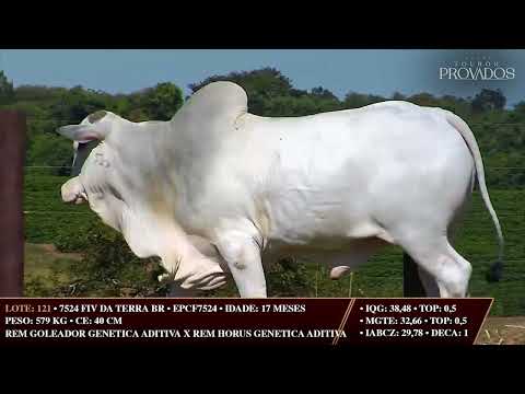 LOTE 121   EPCF 7524