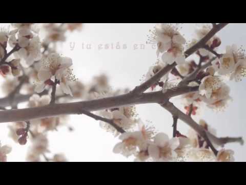 Neil Diamond - Hello again...