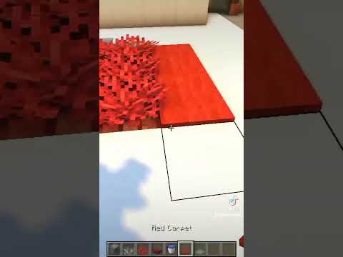 Minecraft updated carpet