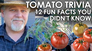 Tomato Trivia: 12 FUN FACTS You Didn't Know! || Black Gumbo