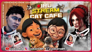 Download Lagu IRL with Mail MP3