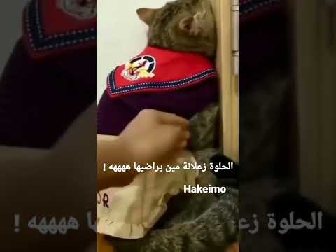الحلوة زعلانة مين يراضيها هههه اكسبلور السعودية      