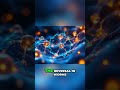 Phosphatidylcholine: Anti-Aging Breakthrough or Hype? #shorts