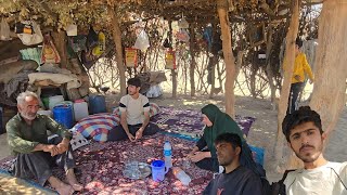 Download Lagu Jamshid and his mother are going to the tropical region to start the herd migration. To pay a visit. MP3 Download Lagu Jamshid and his mother are going to the tropical region to start the herd migration. To pay a visit. MP3