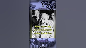 NHỮNG CÂU NÓI HAY CỦA BÁC HỒ MÀ KHIẾN CẢ DÂN TỘC BẬT KHÓC…#bảocóc #bacho #bảocócvlog #baococvlogboss