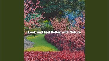 Pulsating Duo - Vibe for Individual Mind