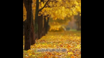 (وَٱلَّذِینَ هُمۡ عَنۡ ءَایَـٰتِنَا غَـٰفِلُونَ)[سورة يونس] | الشيخ محمد اللحيدان