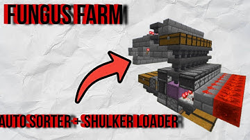 Step-by-Step Auto Sorter & Shulker Loader Build for Fungus Farms (DonutSMP)