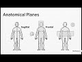 Biological Cartography (Regional Anatomy)