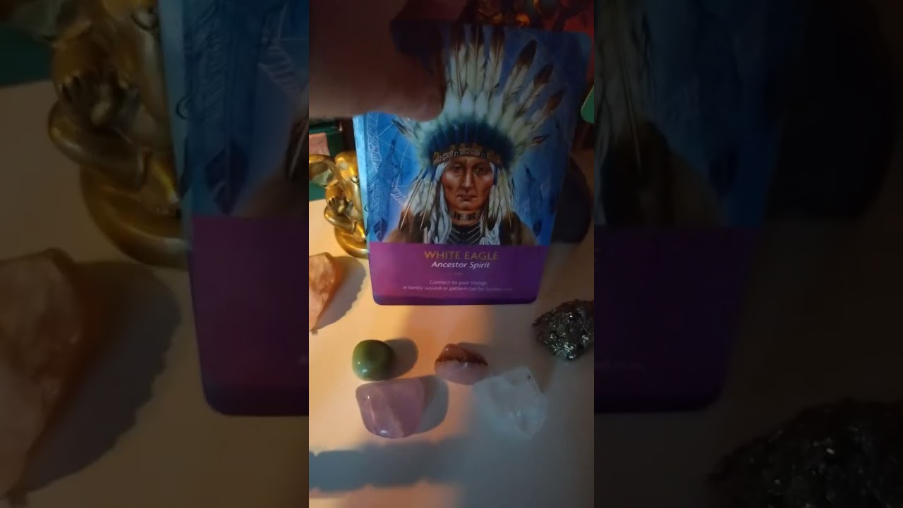 Sunnuntain Kanavointi 2️⃣2️⃣0️⃣2️⃣2️⃣0️⃣2️⃣6️⃣ 🐦‍🔥🦅🐘💜