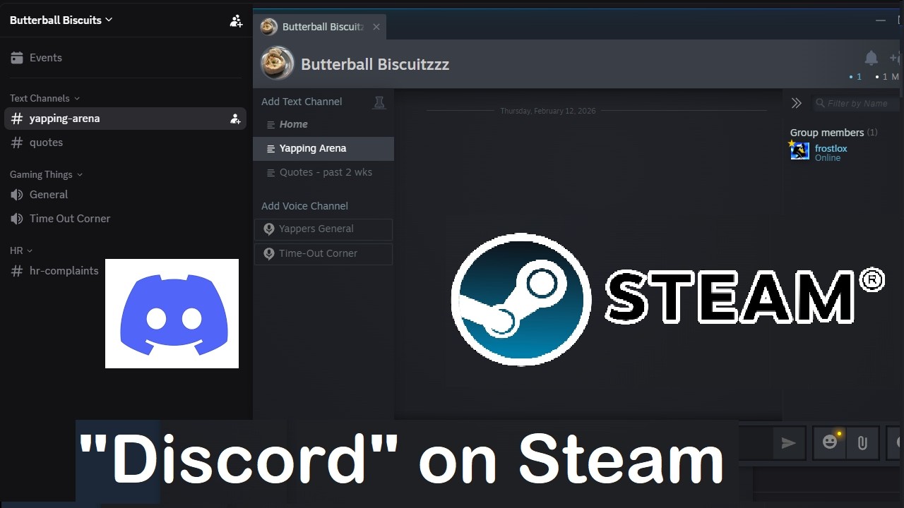 My Current Alternative for Discord's Age Verification BS (Steam)