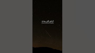 عبدالرحمن مسعد - سورة النبأ | عم يتساءلون عن النبأ العظيم #قران #تلاوة #تلاوة_خاشعة #عبدالرحمن_مسعد