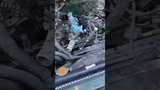 2000 Nissan Frontier knock sensor removal most important tip for lower intake