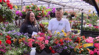 What’s Growing Now at Ropp’s Flower Factory
