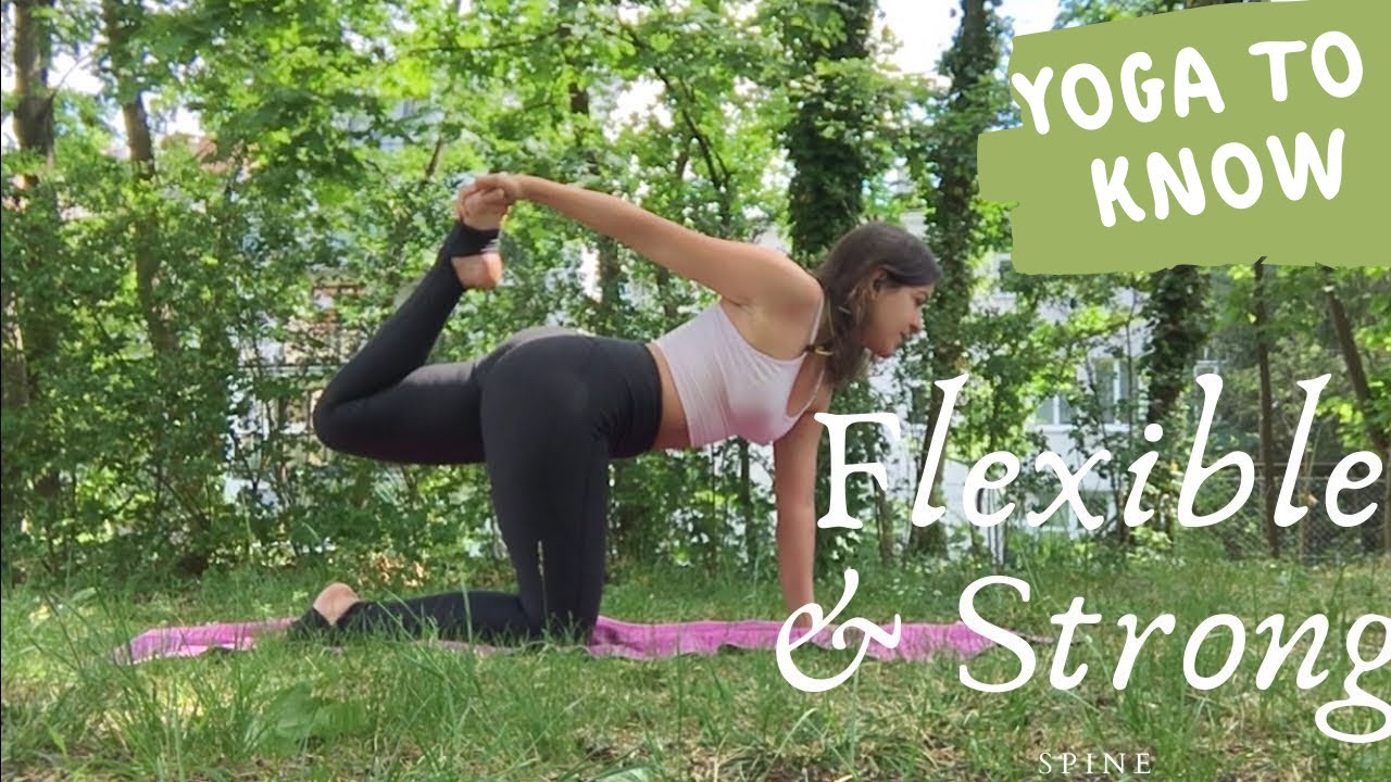 Easy yoga: Cat Pose &Co/ cats, cows, dogs and other ...